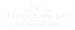 Logo-Greenlink-solar-client-Africa+Amini+Life