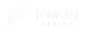 Logo-Greenlink-solar-client-Nimali-Africa