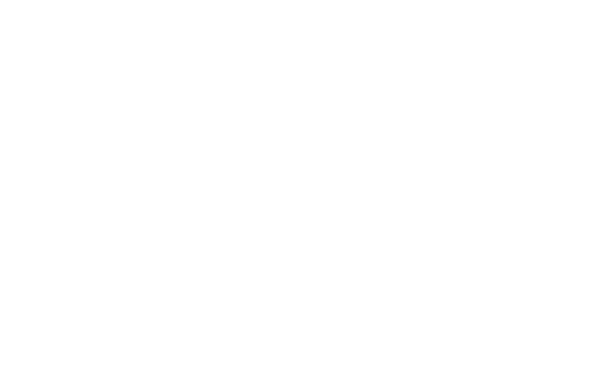 We work with big lodges, like the Four Seasons Serengeti.